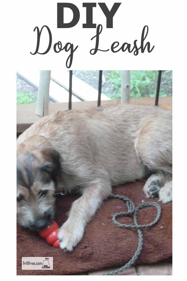 diy-dog-leash600x900.jpg