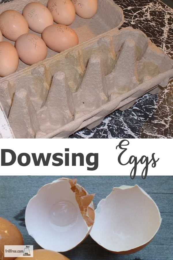 dowsing-eggs600x900.jpg