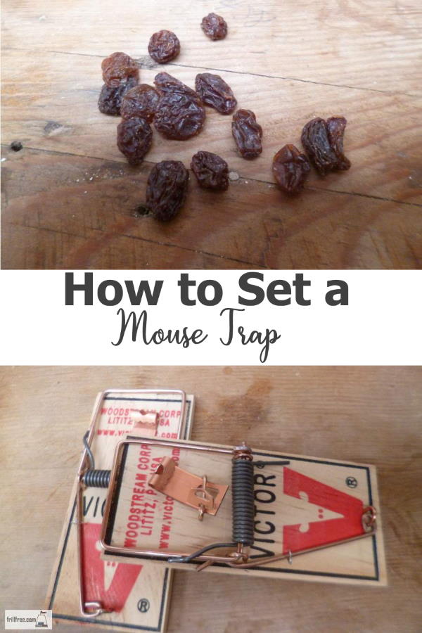 how-to-set-a-mouse-trap600x900.jpg