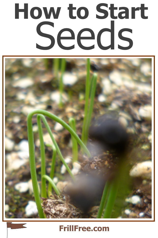 how-to-start-seeds1-600x900.jpg