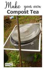 make-compost-tea600x900.jpg