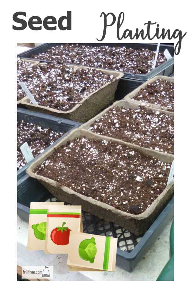 seed-planting600x900.jpg