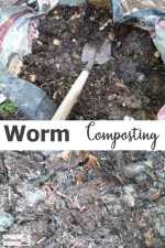 worm-composting600x900.jpg