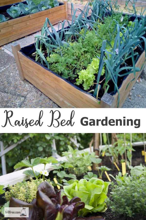 Raised Bed Gardening - raised beds, intensively gardened