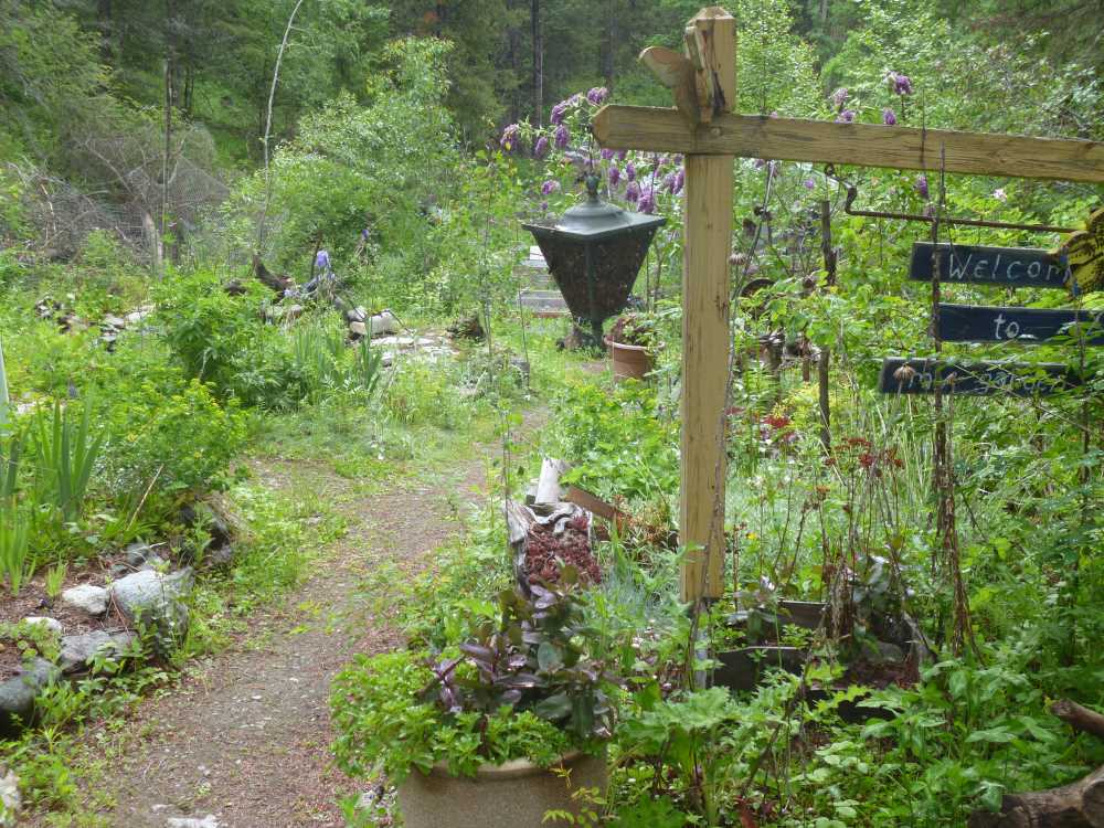 Hillside garden