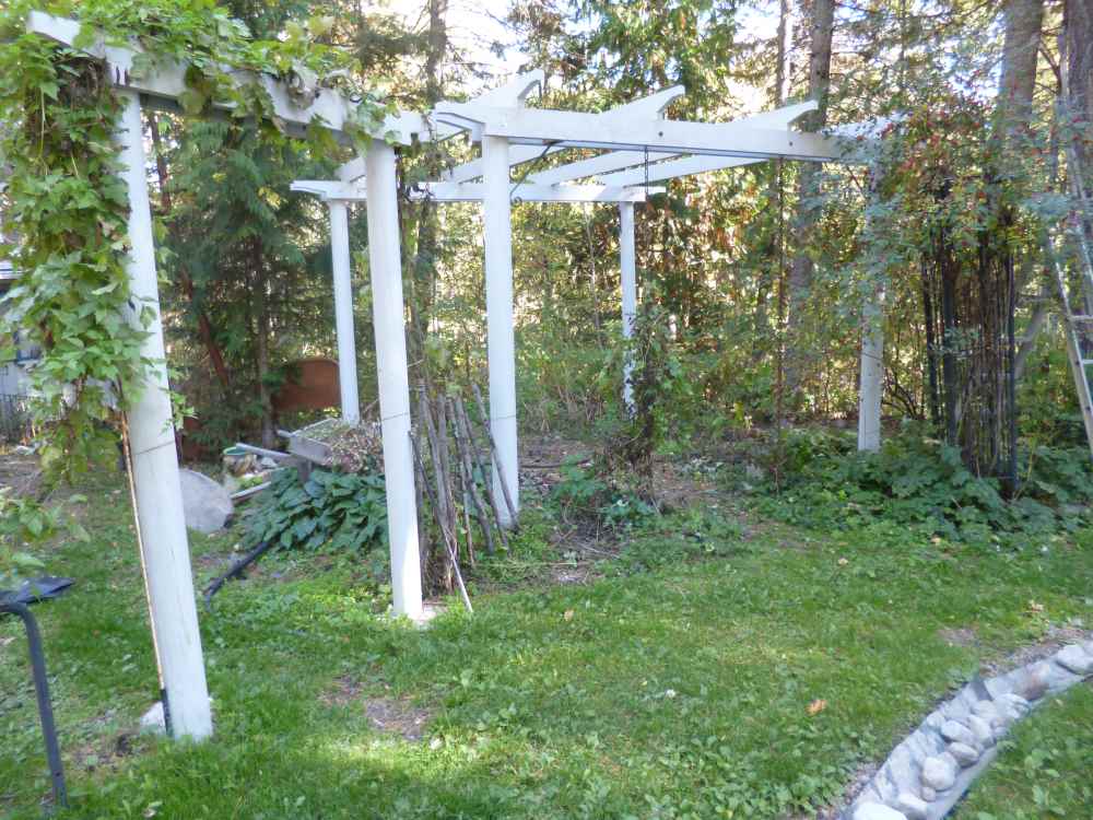 Gazebo with Clematis vines