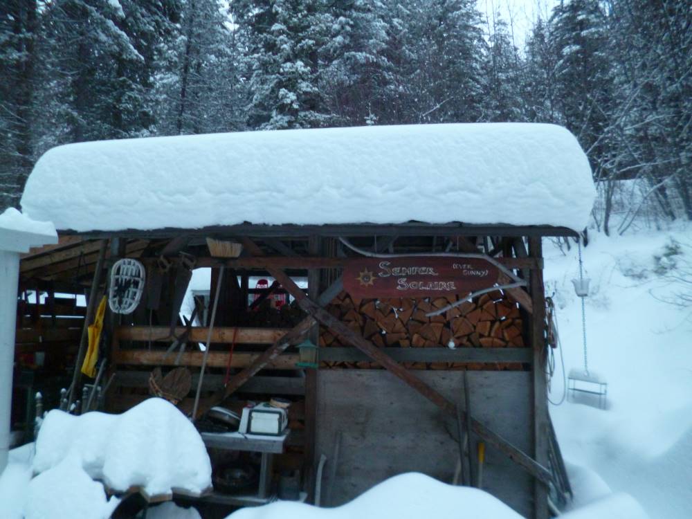 Woodshed holds several cords of wood