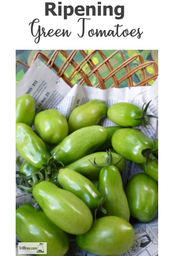 Ripening Green Tomatoes